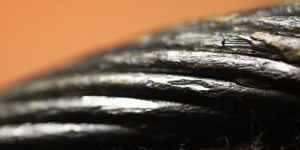 Fundación Barredo - Nuevas aplicaciones de software y hardware para equipos de inspección de cables de acero. Validación de modelos de cálculo, año 2012 1 Proyecto Cables 2012-Cable n2 corrosion y perdida material_1000x500